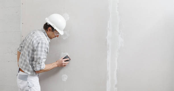 Best Mold Removal for HVAC Installations  in USA