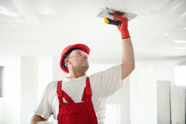 Best Mold Removal for HVAC Installations  in USA